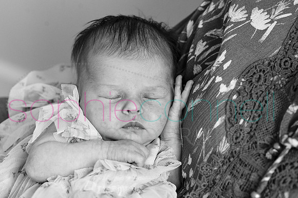 MARGOT25546