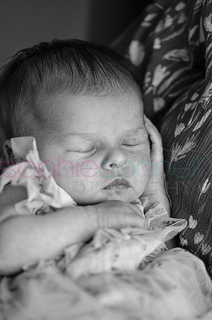 MARGOT25455