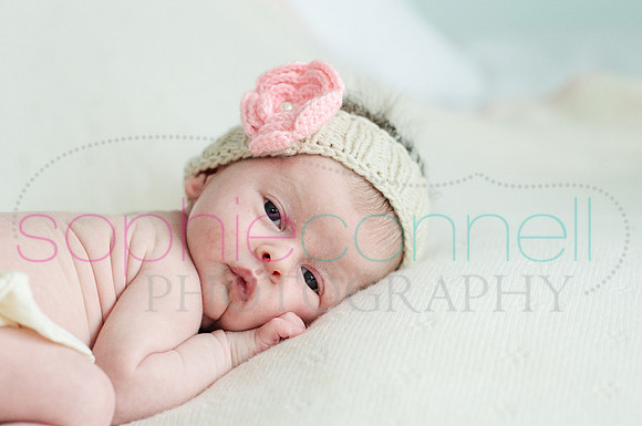 MARGOT25811