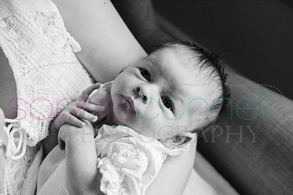 MARGOT25522