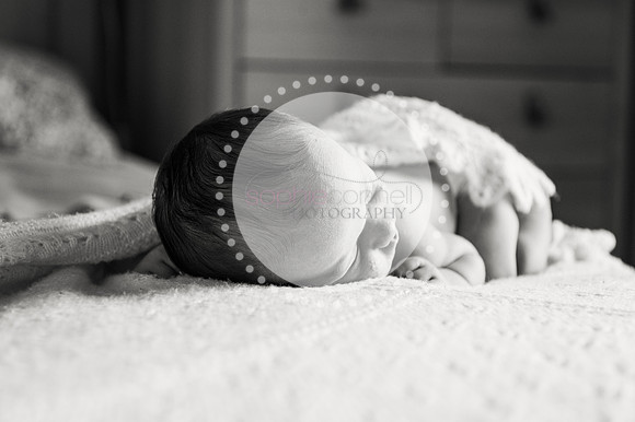 louise25183