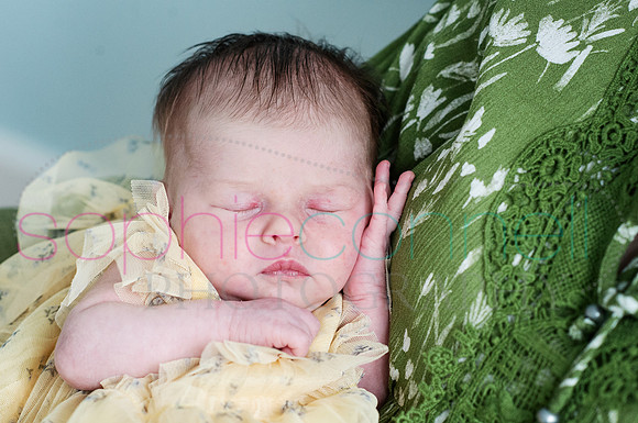 MARGOT25547