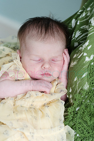 MARGOT25549