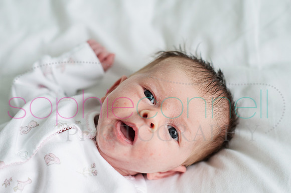 MARGOT25723