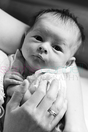 MARGOT25632