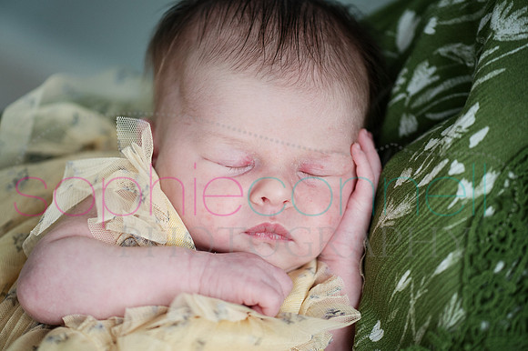 MARGOT25458