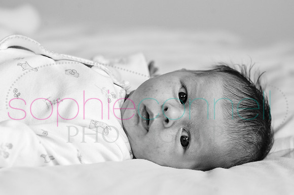 MARGOT25714