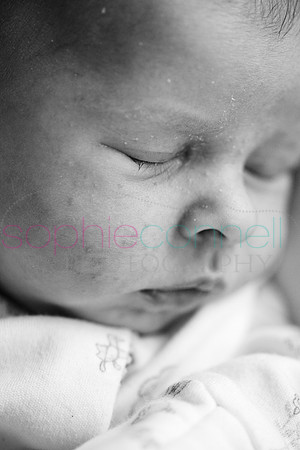 MARGOT25758