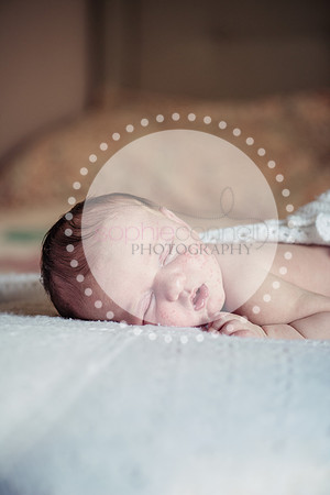 louise25193