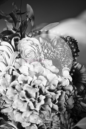 amy&mark0352