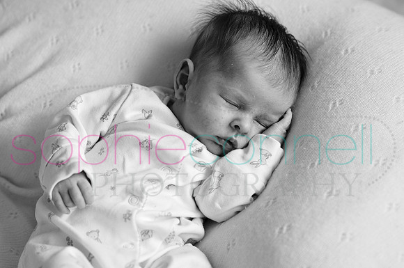 MARGOT25726