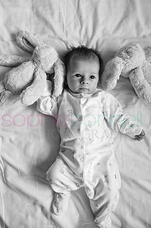 MARGOT25709