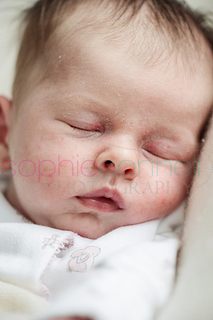 MARGOT25761