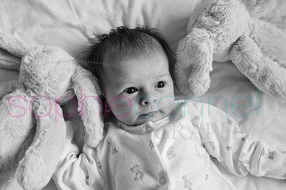 MARGOT25707