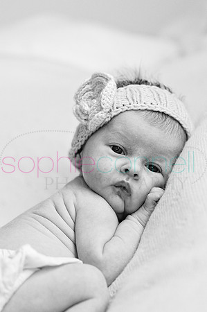 MARGOT25804