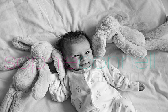 MARGOT25701