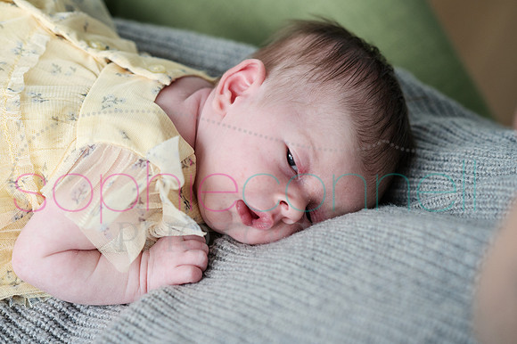 MARGOT25444