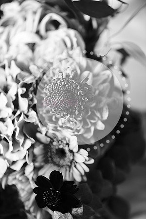 amy&mark0358