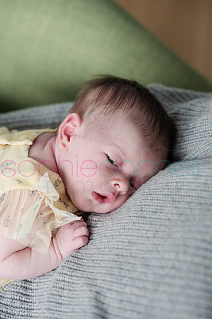 MARGOT25446