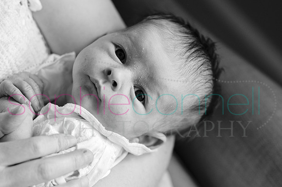 MARGOT25624