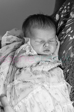 MARGOT25544