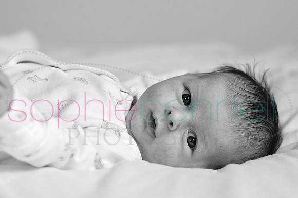 MARGOT25718