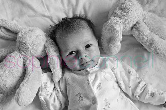MARGOT25703