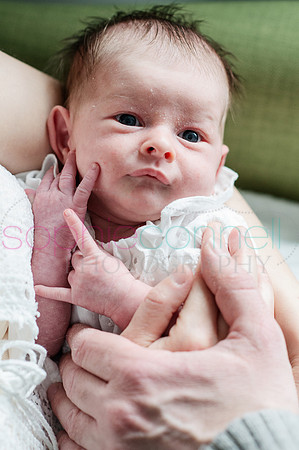 MARGOT25637