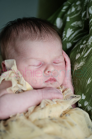 MARGOT25454