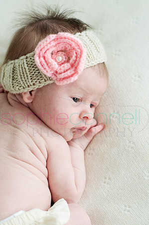 MARGOT25813