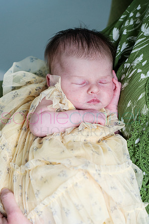 MARGOT25545