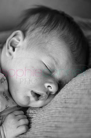 MARGOT25441