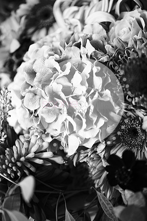 amy&mark0360