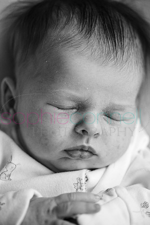 MARGOT25778