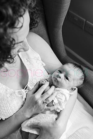 MARGOT25514