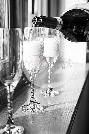 amy&mark0252
