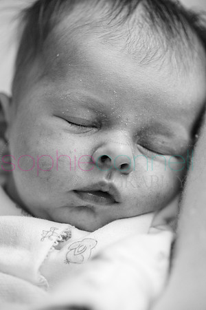 MARGOT25760