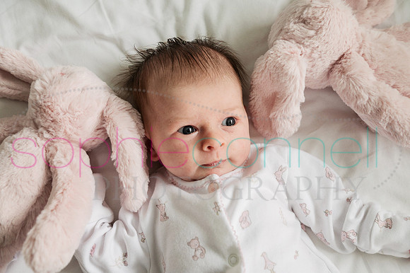 MARGOT25706