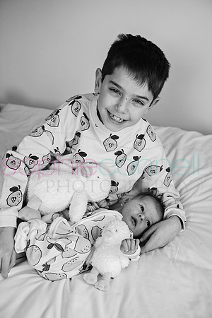 MARGOT25682