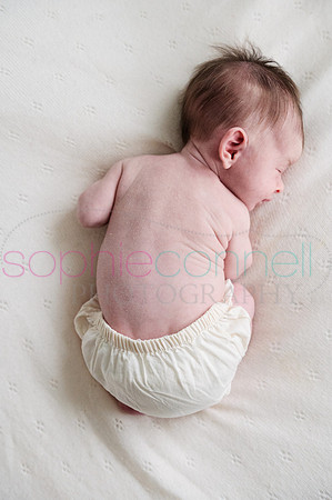 MARGOT25782