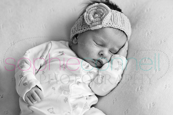MARGOT25730