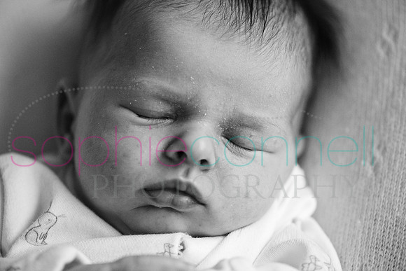 MARGOT25780