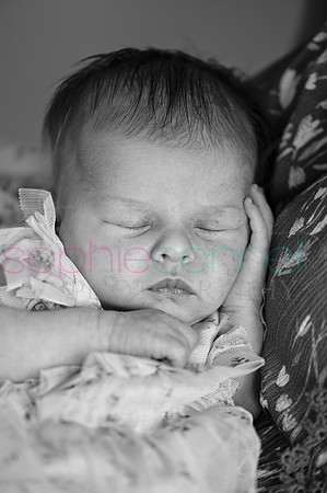 MARGOT25457