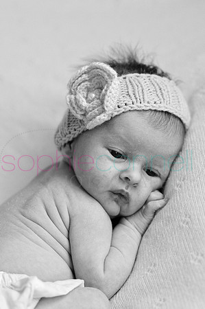 MARGOT25800
