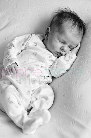 MARGOT25728