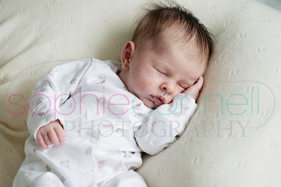 MARGOT25727