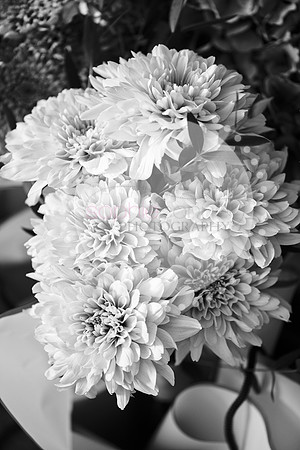 amy&mark0370
