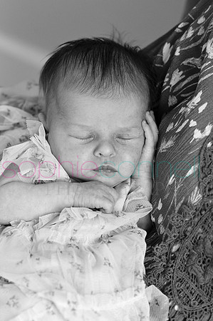 MARGOT25548