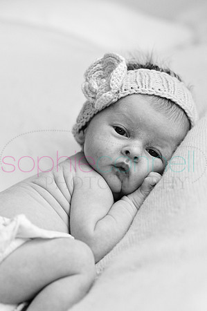 MARGOT25806