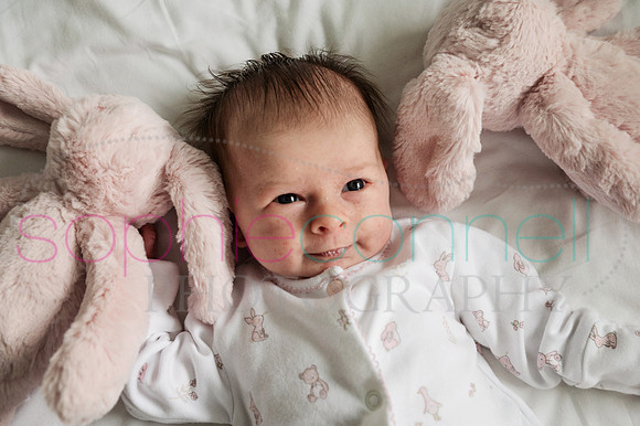 MARGOT25704